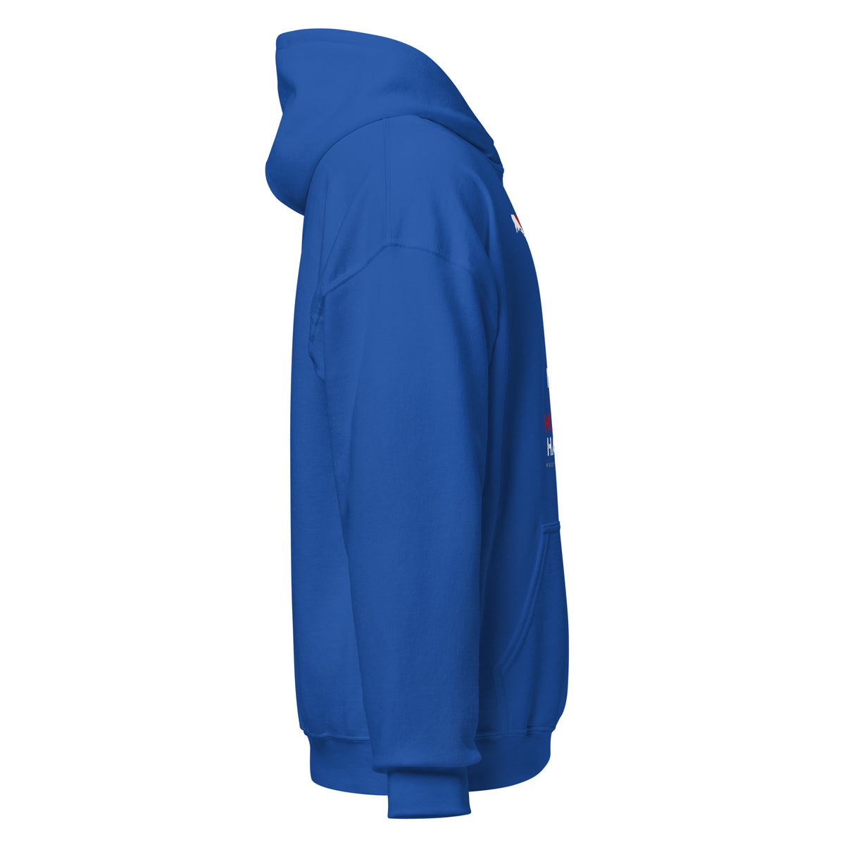 Blue Florida hoodie with state flag graphic and No One Hustles Harder motivational design